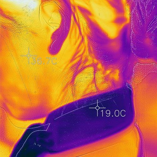 flir-opaska